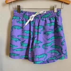 Chubbies Classic Swim Trunks Size XS